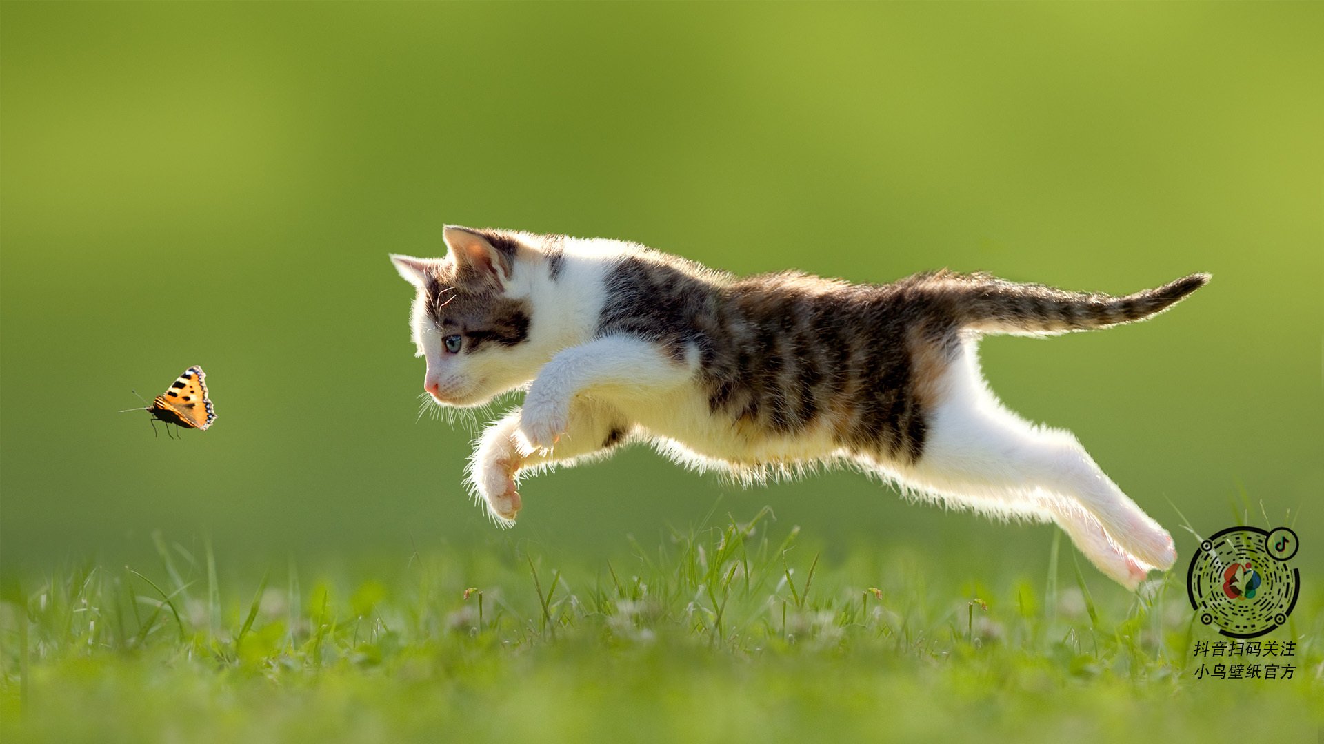 “弯道飞旋：漂移与超车的极致舞蹈”，弯道漂移翻车动图