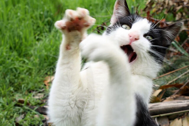 【比赛亮点】奥沙利文：最快破局纪录在哪里？，奥沙利文最牛的比赛